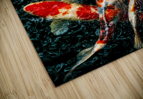 Koi Fish One Simple Gallery puzzle