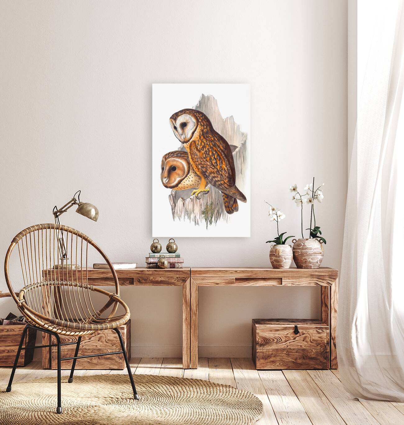 Chestnut-Faced Owl  Reproduction