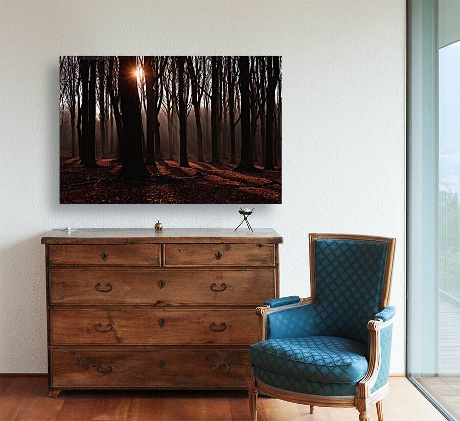 Forest 1_OSG Reproduction