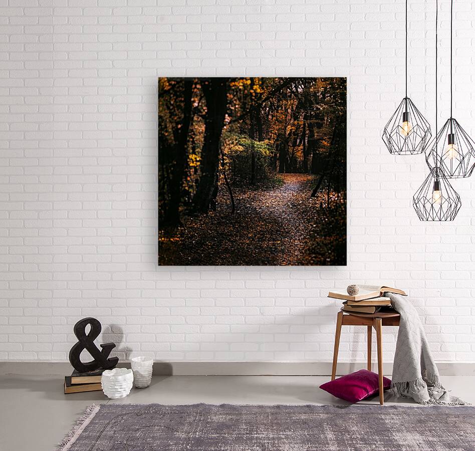 Forest 2_OSG Reproduction
