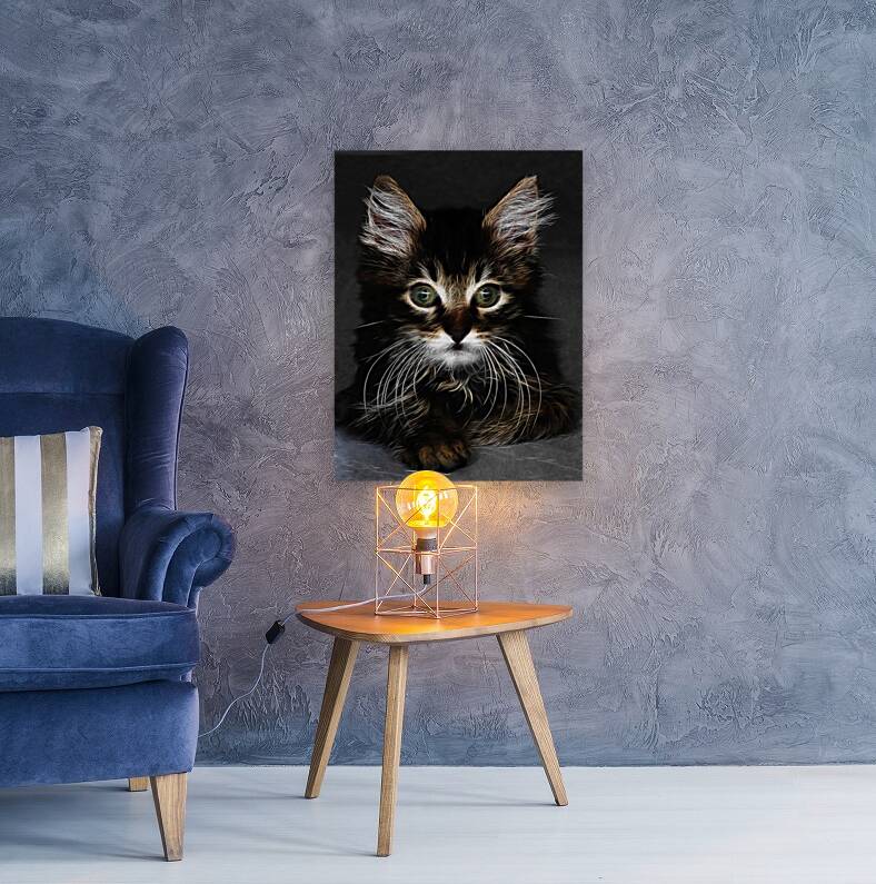 CUTE KITTEN_OSG Reproduction