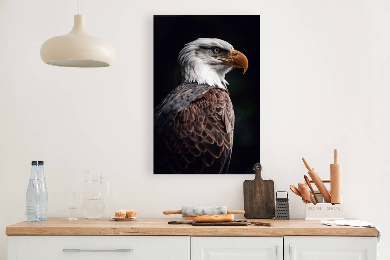 Bald Eagle Reproduction