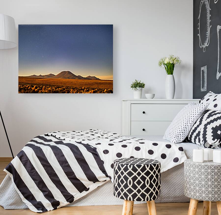 The Atacama Desert Reproduction