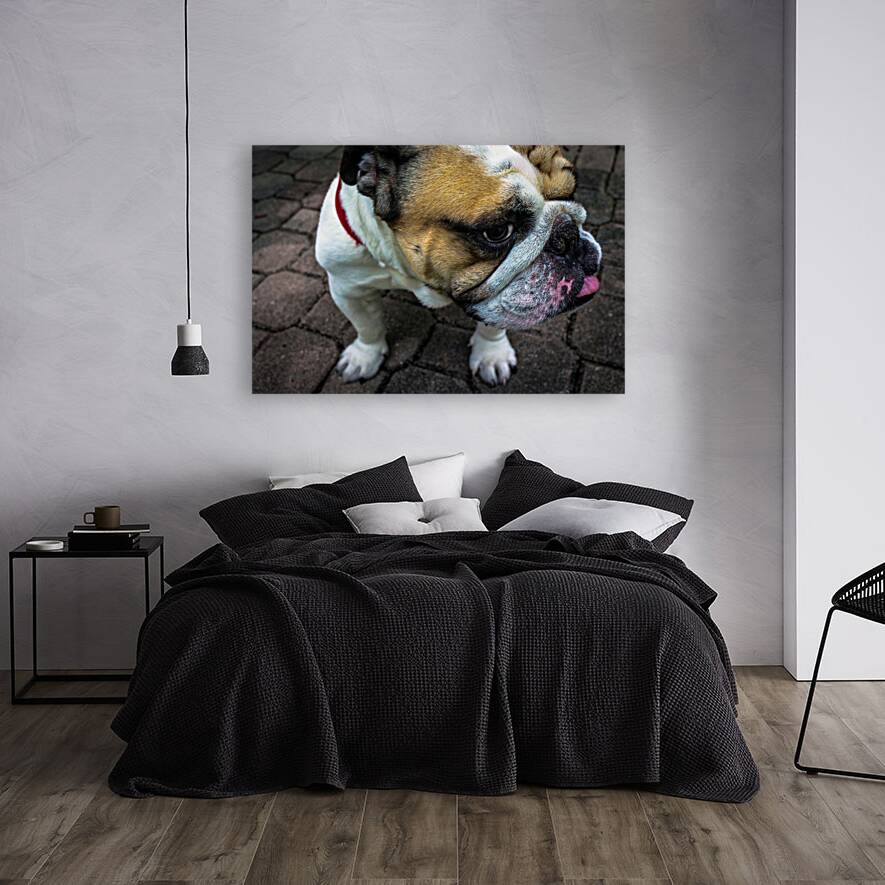 Bulldog Reproduction