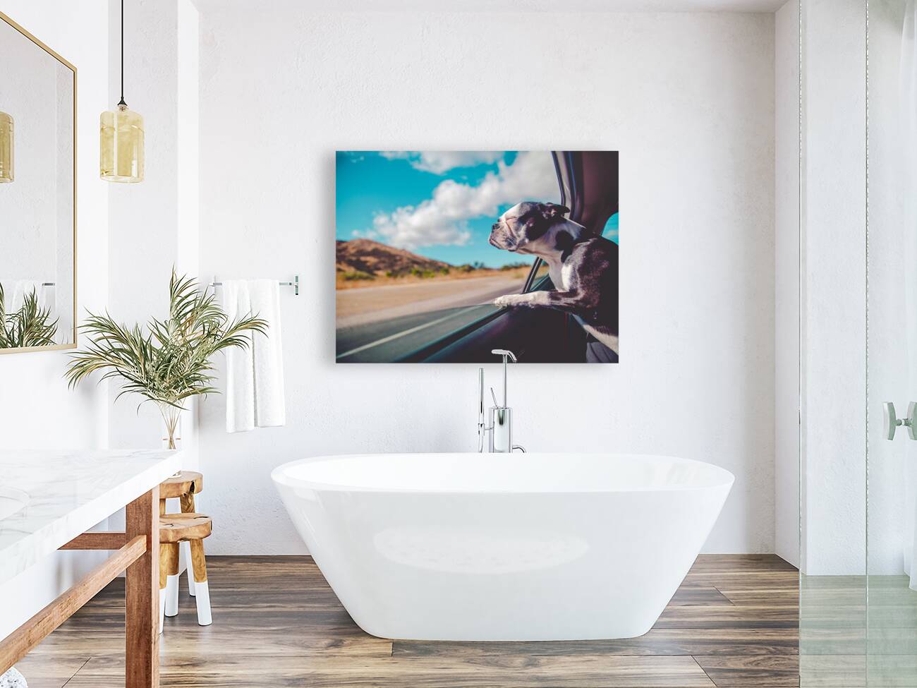 Boston Terrier Dog  Reproduction