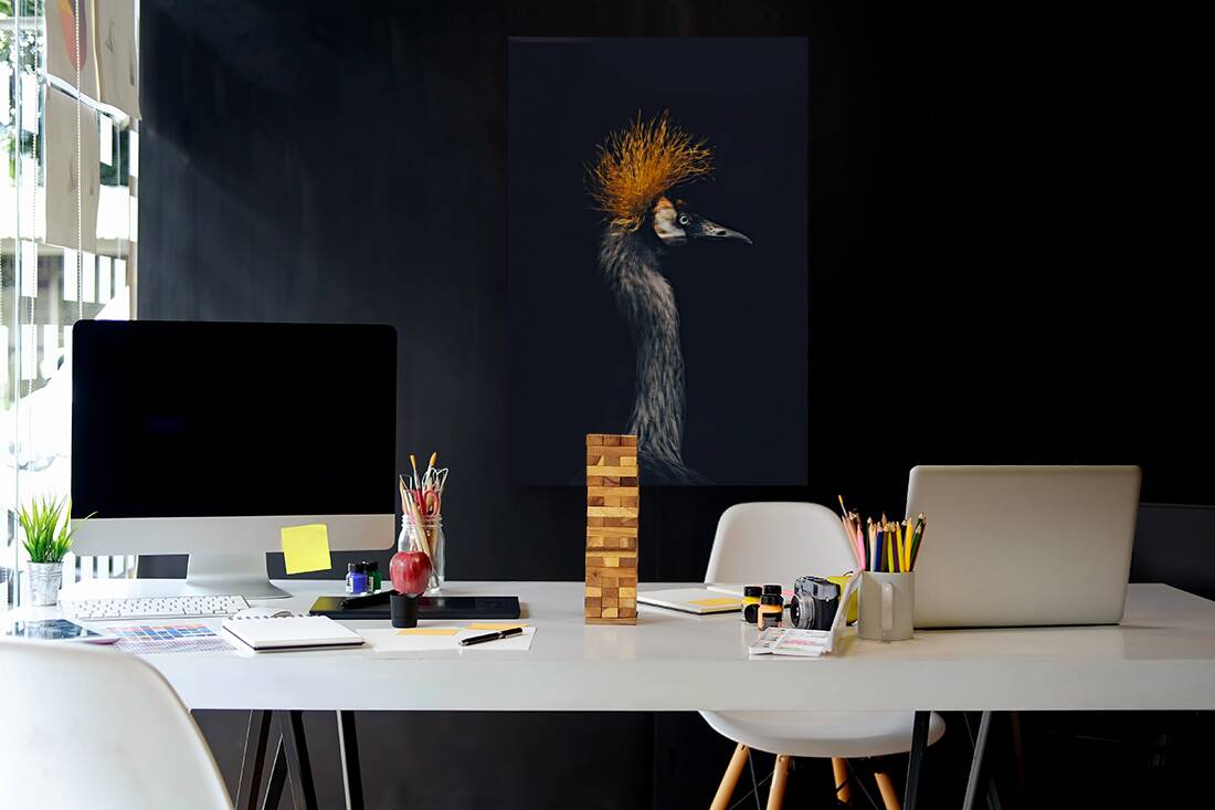 Crowned Crane Reproduction