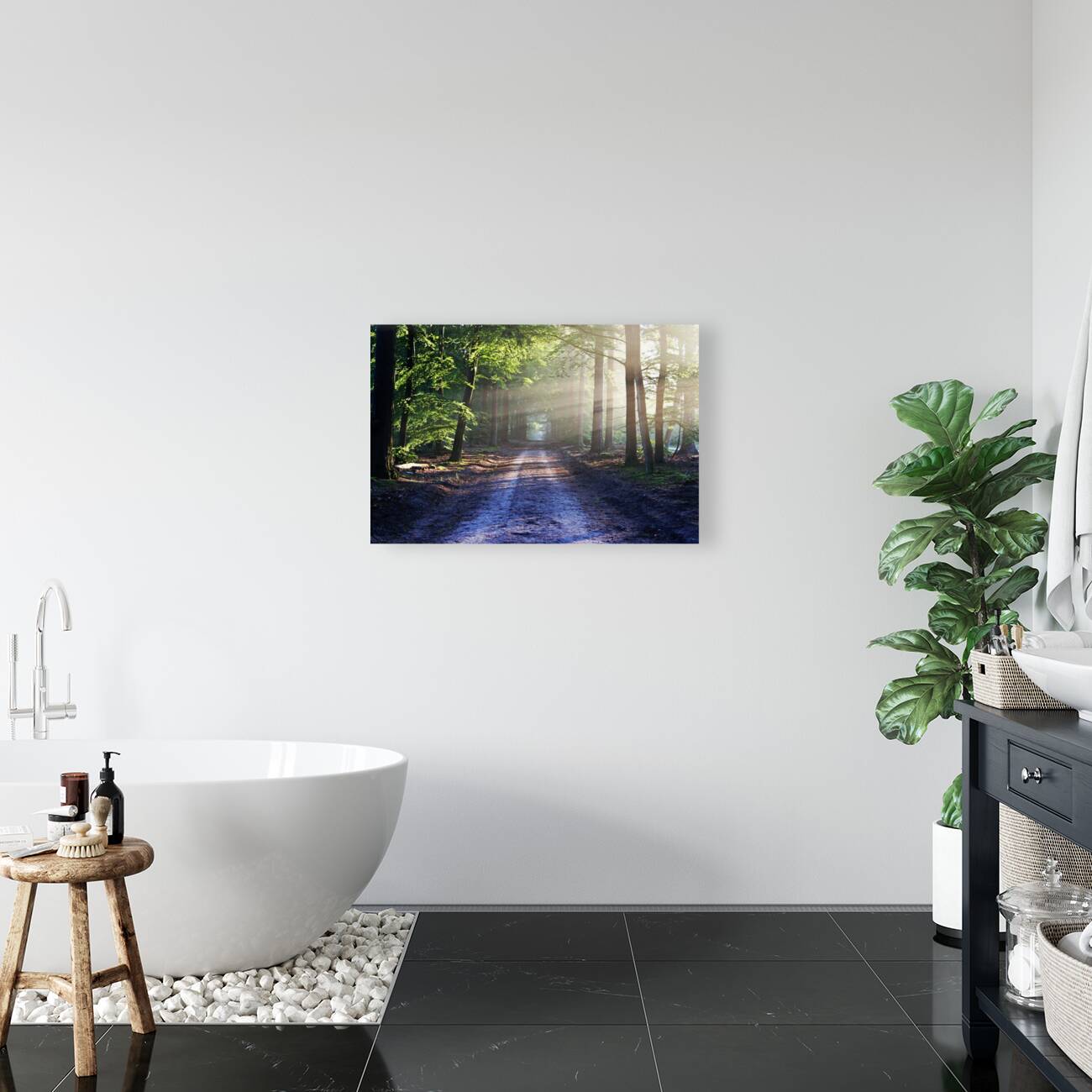 Forest Road 2_OSG Reproduction