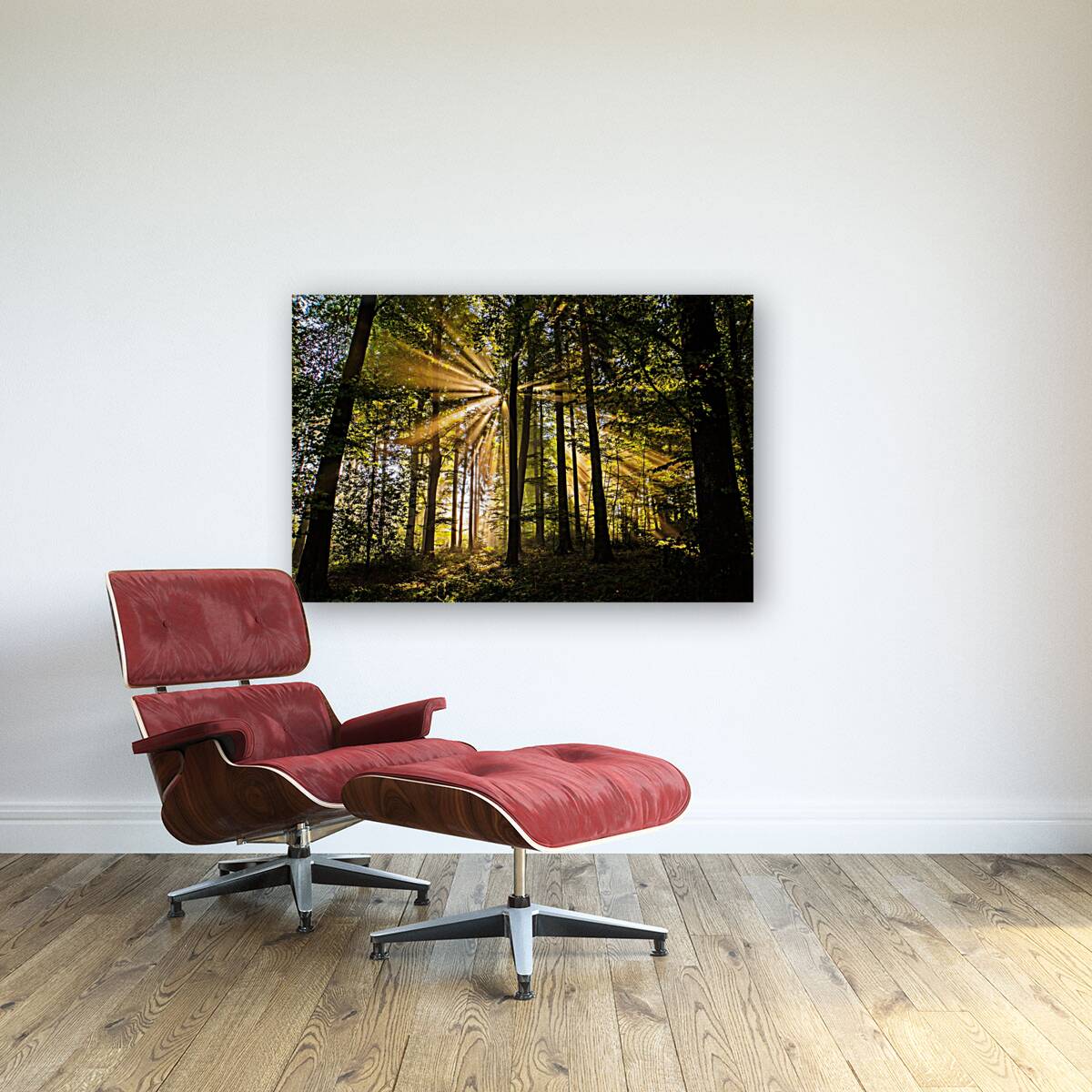 Forest Sun Rays 1_OSG Reproduction