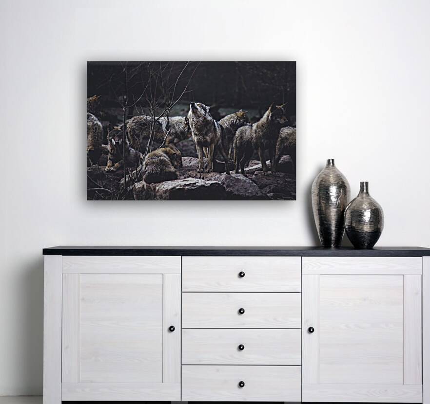Wolf Pack Reproduction