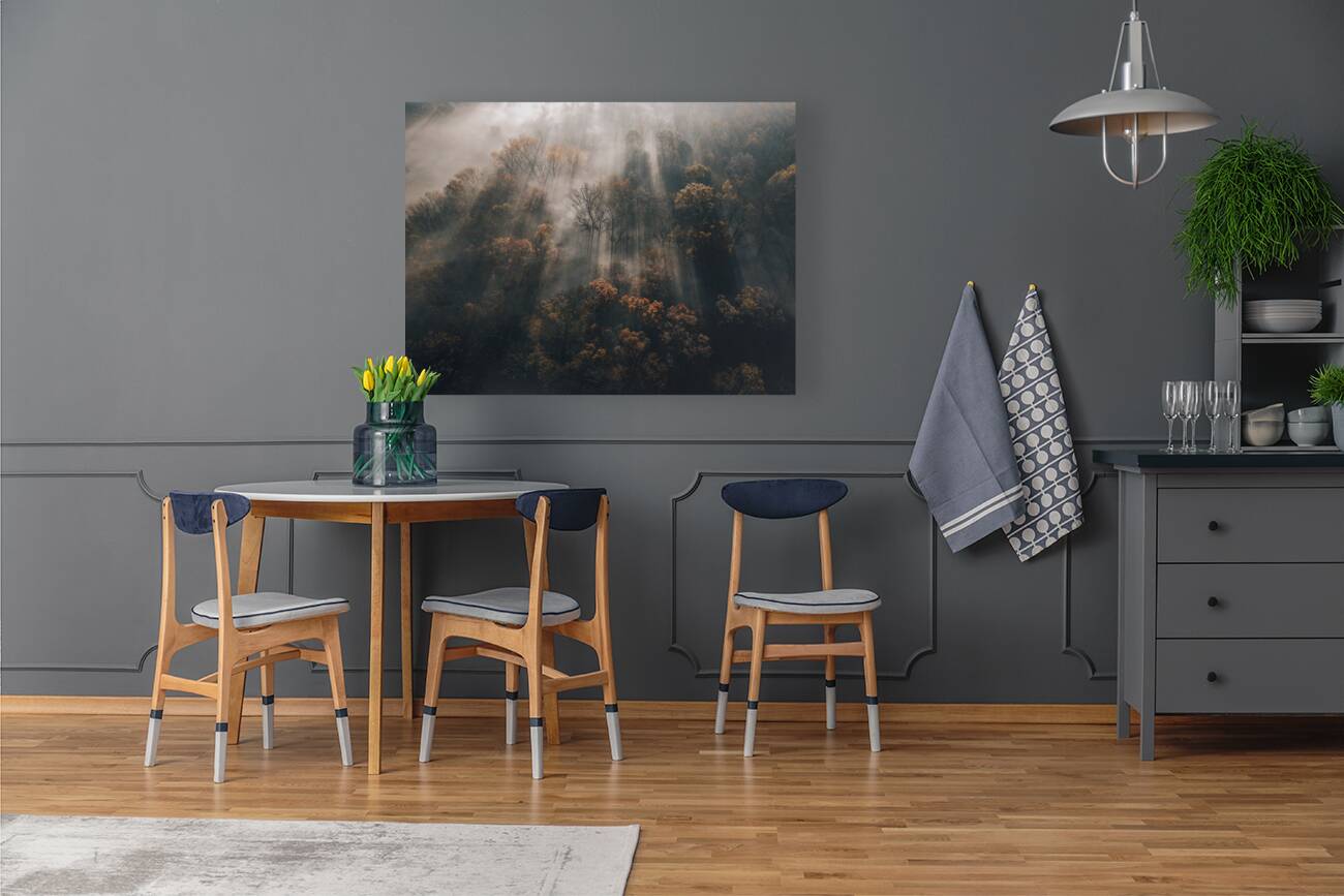 Forest Light Ray Reproduction