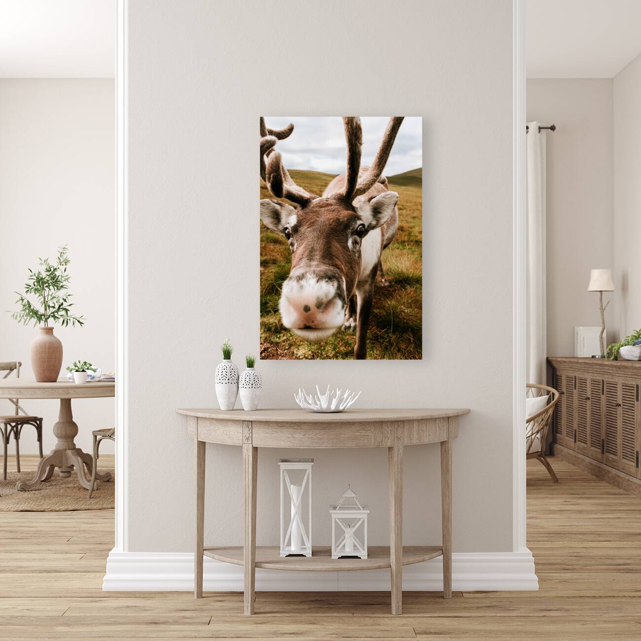 Deer Close Up Reproduction