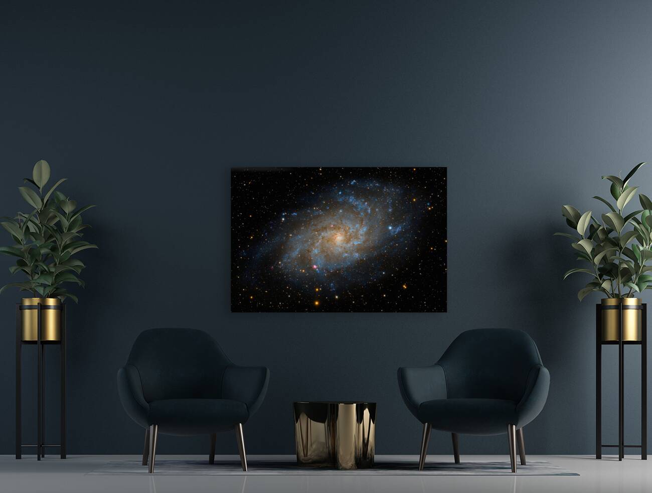 Andromeda Galaxy  Reproduction