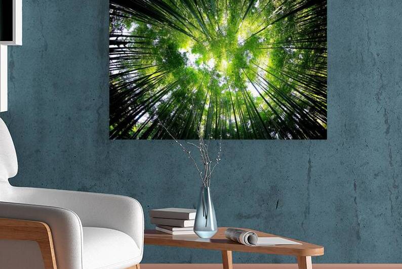 Bamboo Forest_OSG Reproduction