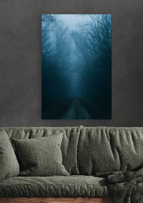 Creepy Eerie Cold Woods by One Simple Gallery