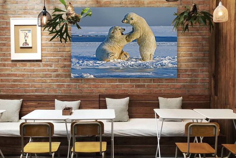 Polar Bears In Alaska by One Simple Gallery