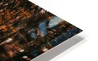 Forest 2_OSG HD Metal print
