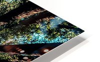 Looking Up 02_OSG HD Metal print