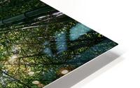 Bamboo Forest_OSG HD Metal print