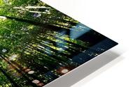 Bamboo Forest_OSG Impression metal HD