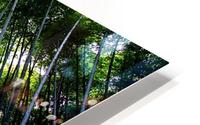Looking Up 01_OSG HD Metal print