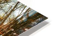 Autumn 04_OSG HD Metal print