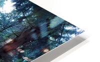 Into The Woods HD Metal print