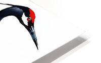 Crane HD Metal print