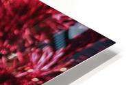 Red Dahlia HD Metal print