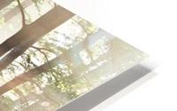 Forest Road 2_OSG HD Metal print