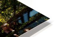 Forest Sun Rays 1_OSG HD Metal print