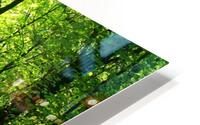 Forest Road 5_OSG HD Metal print