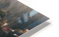 Forest Light Ray HD Metal print