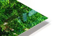 Forest Stream HD Metal print