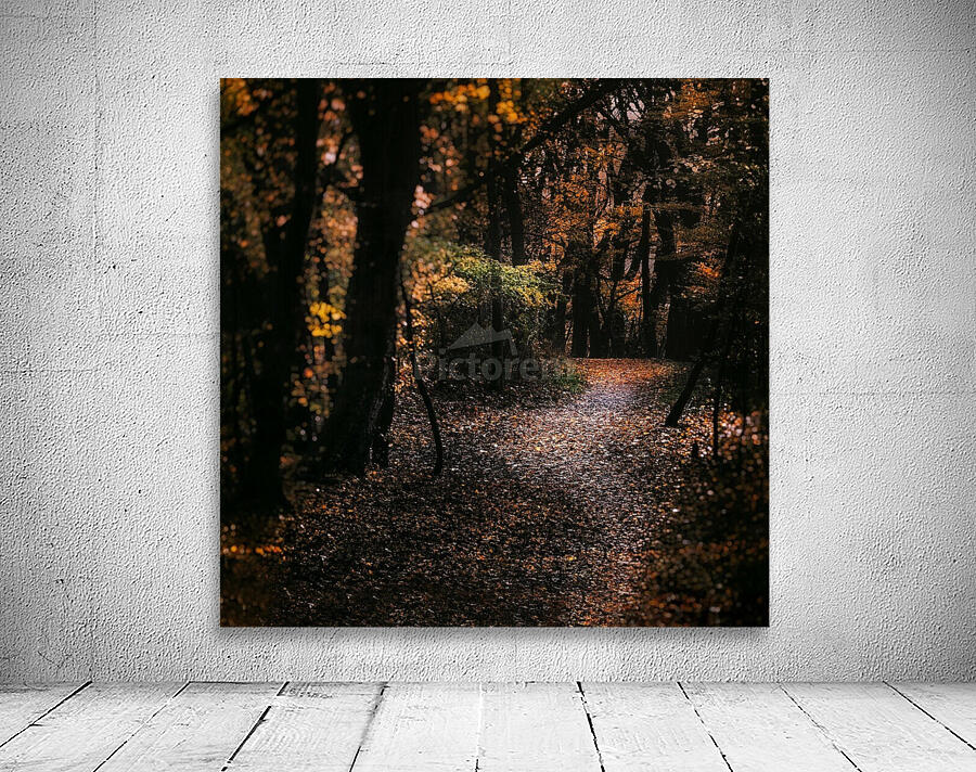 Forest 2_OSG Wall Preview