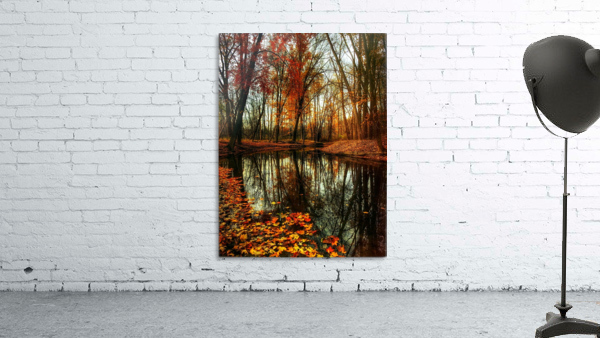 Autumn 04_OSG Wall Preview