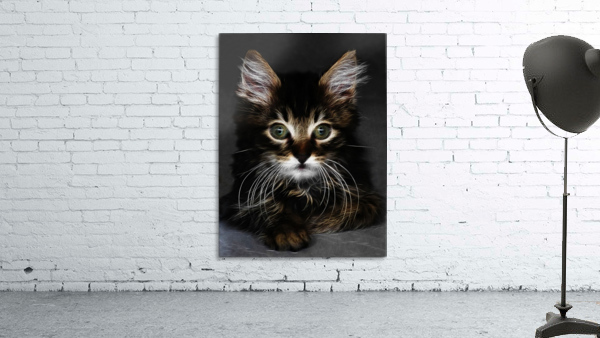 CUTE KITTEN_OSG Wall Preview