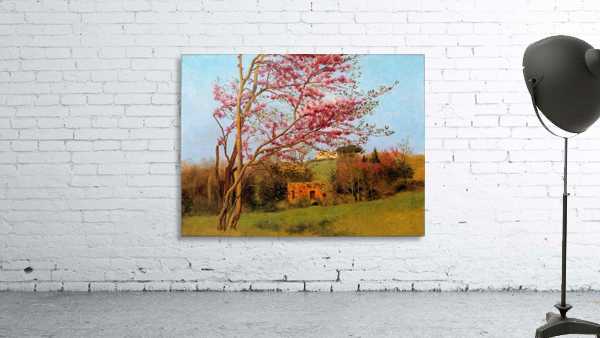 BLOSSOM TREE_OSG Wall Preview