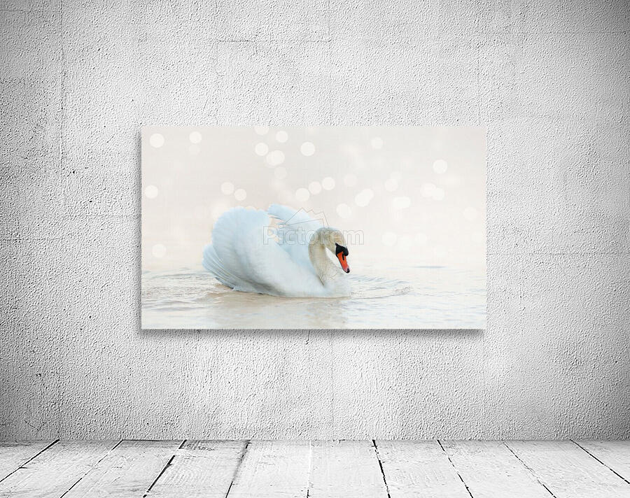 Swan Wall Preview