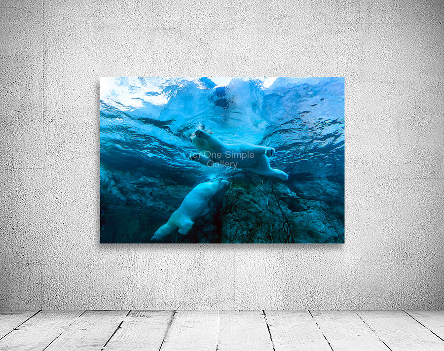 Bears Underwater Wall Preview