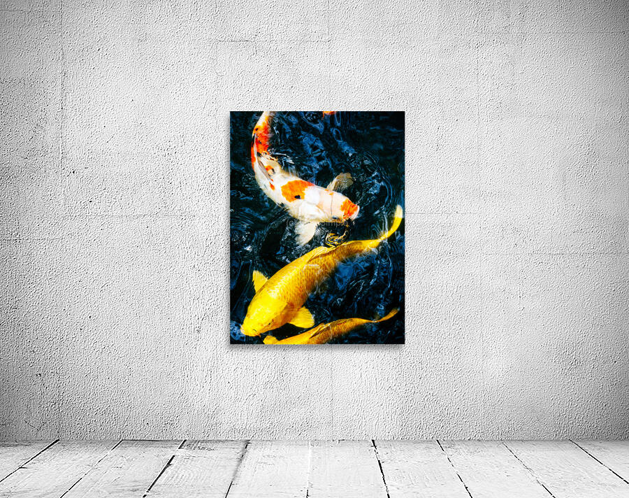 koi Fish Wall Preview