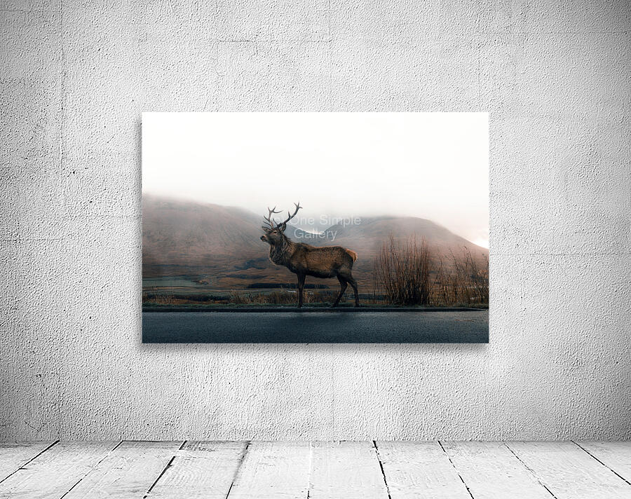 Elk Wall Preview