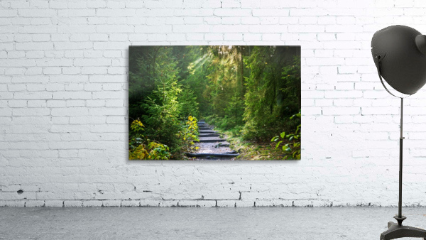 Forest Path 1_OSG Wall Preview
