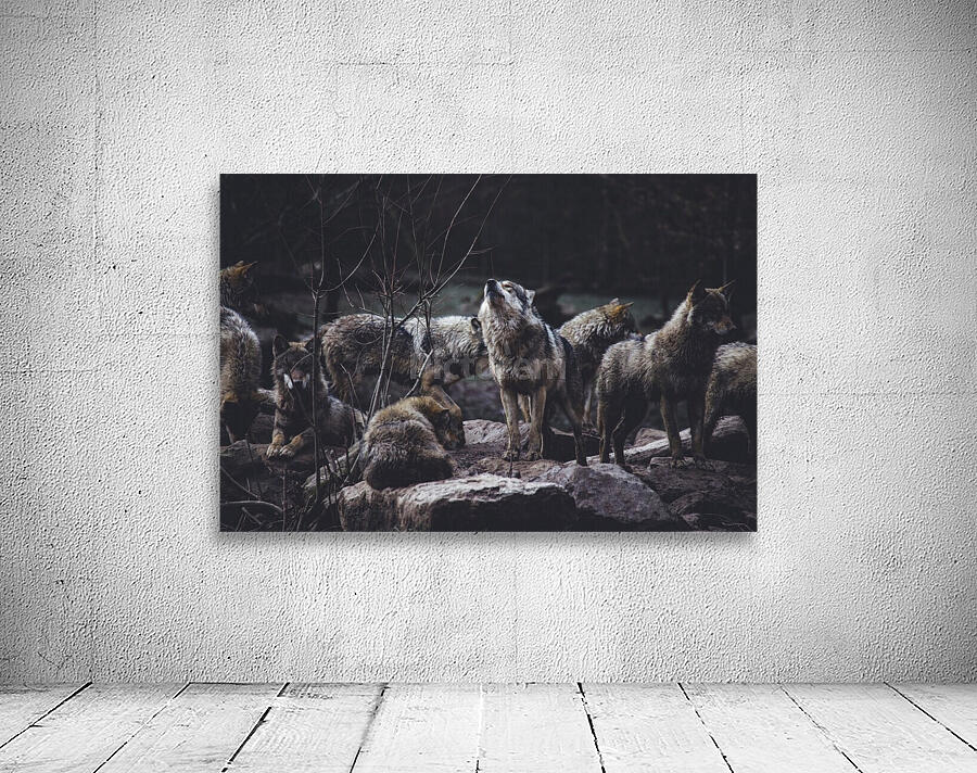 Wolf Pack Wall Preview