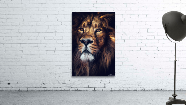 Lion Jungle king Wall Preview