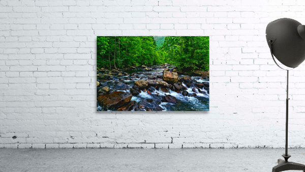 Forest Stream Wall Preview