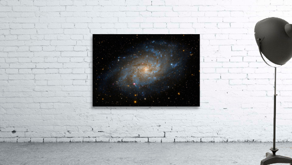 Andromeda Galaxy  Wall Preview
