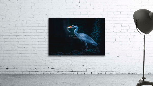 Herons Meal Wall Preview