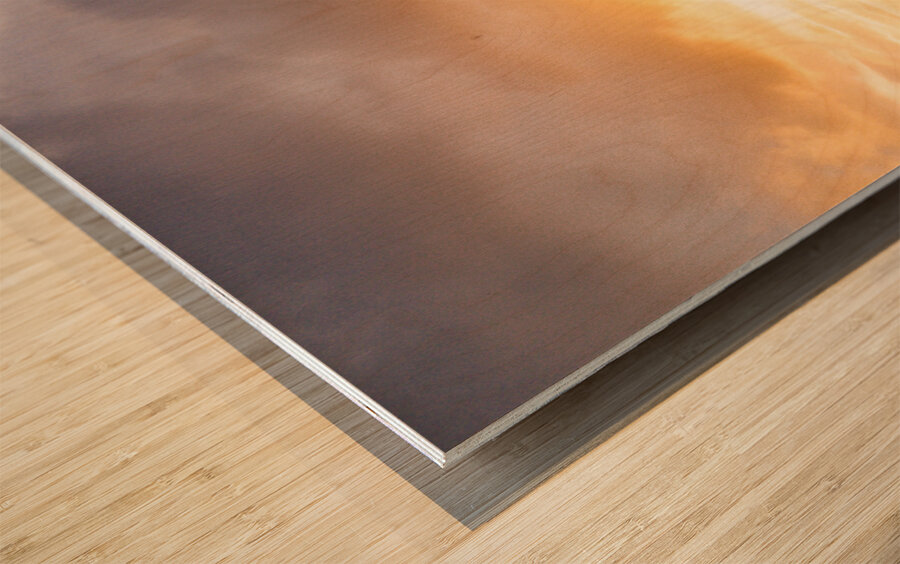 The Beach Of Kauai Hawaii Wood print