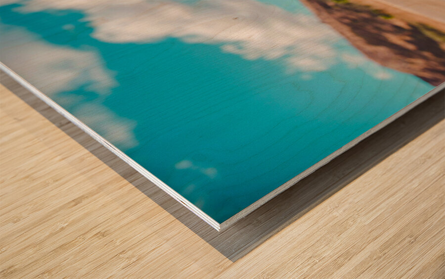 Boston Terrier Dog  Wood print