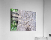 Baby Bear Acrylic Print